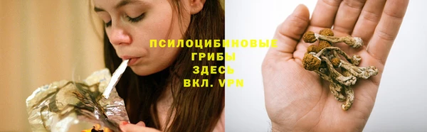 2c-b Бугульма