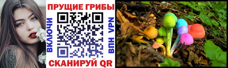 ОМГ ОМГ онион  Вичуга  Галлюциногенные грибы MAGIC MUSHROOMS 