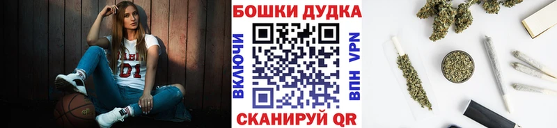 площадка официальный сайт  Вичуга  Конопля SATIVA & INDICA 